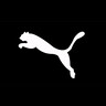 Puma SE